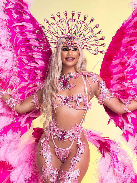 VICTORIA'S SECRET/PINK INSPIRED